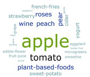 Word cloud, for a visual representation of the product diversity