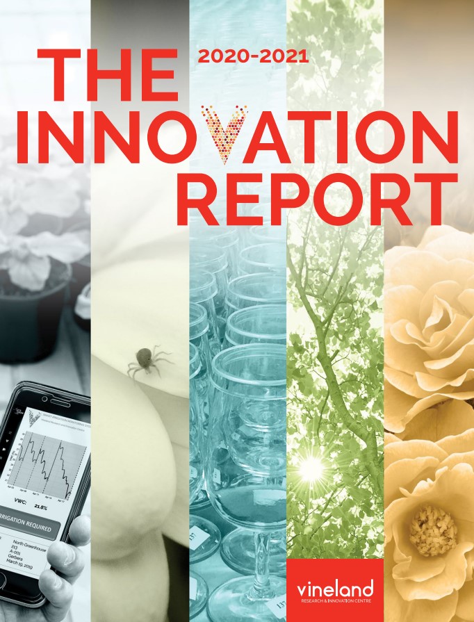 Download The Innovation Report: 2020-21
