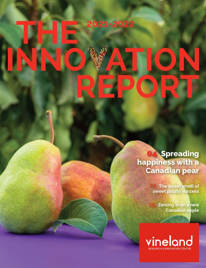Download The Innovation Report: 2021-22
