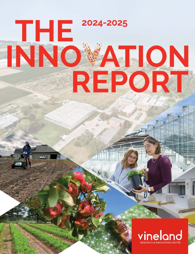 Download The Innovation Report: 2024-25