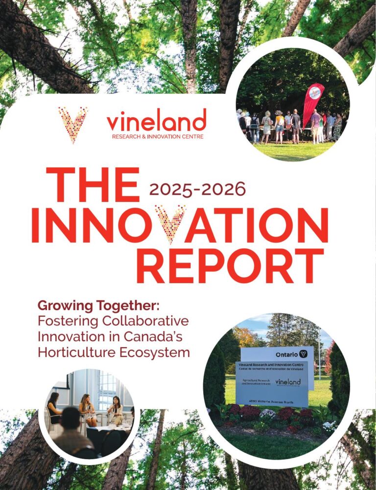 Download The Innovation Report 2025-26