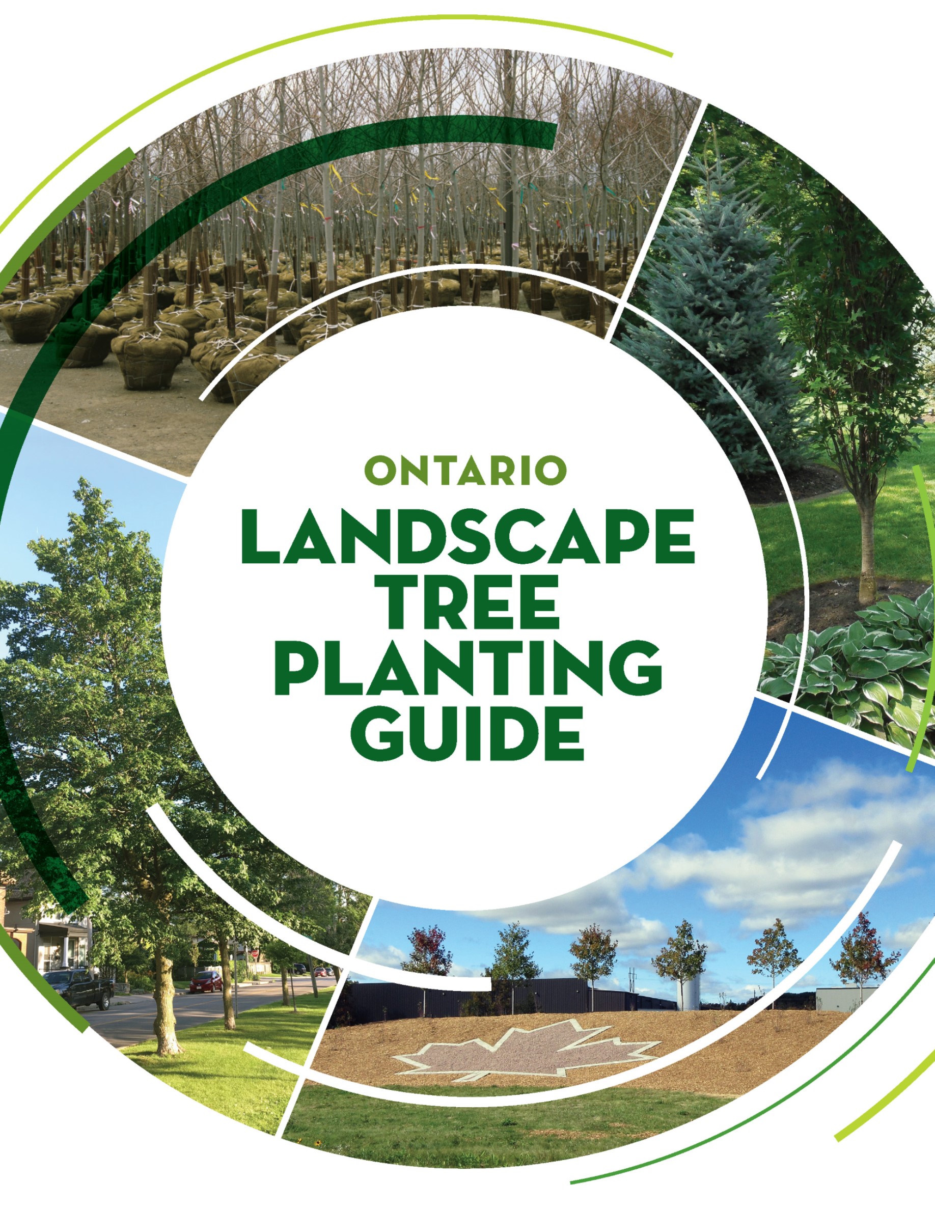 Ontario Landscape Tree Planting Guide - 2019 - Vineland Research ...